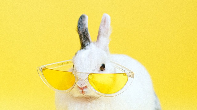 conejo blanco con gafas amarillas